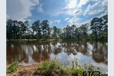 45 Acre Off Watson Rd, Kilgore, TX 75662 - Photo 15
