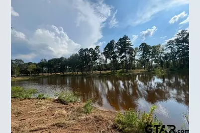 45 Acre Off Watson Rd, Kilgore, TX 75662 - Photo 17