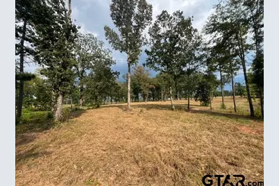 455 Acres Off Watson Rd, Kilgore, TX 75662 - Photo 27