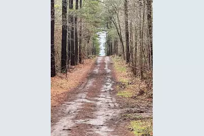 455 Acres Off Watson Rd, Kilgore, TX 75662 - Photo 3