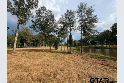 455 Acres Off Watson Rd, Kilgore, TX 75662 - Photo 25
