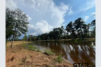 455 Acres Off Watson Rd, Kilgore, TX 75662 - Photo 39