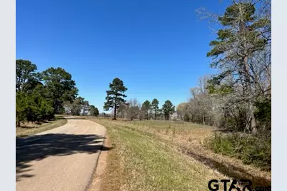 455 Acres Off Watson Rd, Kilgore, TX 75662 - Photo 15