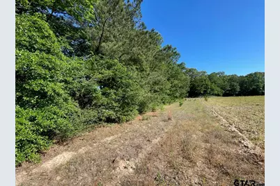 000 County Road 2138, Whitehouse, TX 75791 - Photo 3