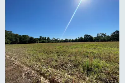 000 County Road 2138, Whitehouse, TX 75791 - Photo 7