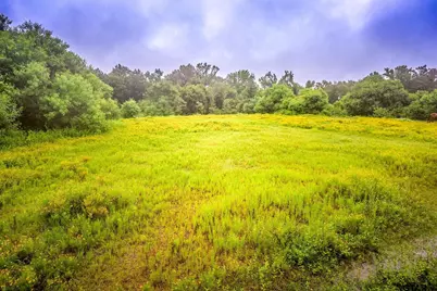 8724 E Fm 1649, Gilmer, TX 75645 - Photo 47