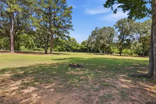 5966 Phlox Trail, Gilmer, TX 75644 - Photo 47