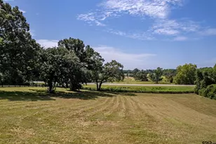 15911 US Hwy 79 E, Jacksonville, TX 75766 - Photo 3