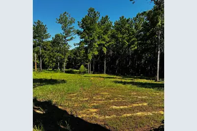 1365 Cr 2112, Rusk, TX 75785 - Photo 11