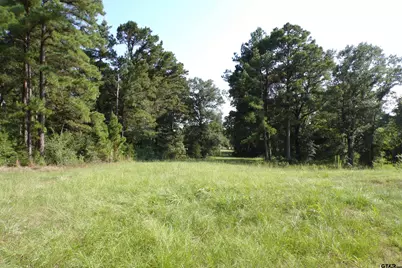 0000 Cr 46, Tyler, TX 75704 - Photo 17