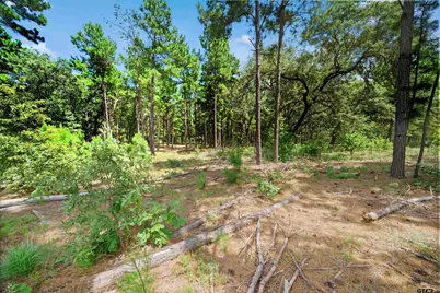 3195 Shadow Pine Drive, LaRue, TX 75770 - Photo 5