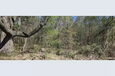 2415 Fm 17, Alba, TX 75410 - Photo 3