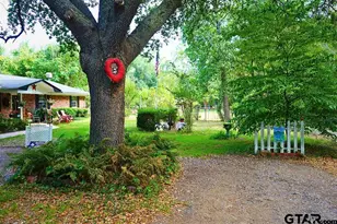 10584 Hwy 64 E, Tyler, TX 75707 - Photo 3
