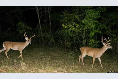Tbd W Hwy 80, Mineola, TX 75773 - Photo 5