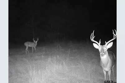 Tbd W Hwy 80, Mineola, TX 75773 - Photo 13