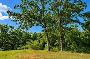 Tbd W Hwy 80, Mineola, TX 75773 - Photo 1