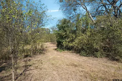 2805 Vz County Road 3507, Wills Point, TX 75169 - Photo 3