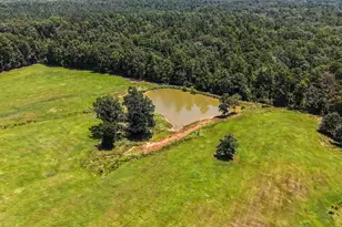 13687 Co Rd 4188, Henderson, TX 75654 - Photo 21