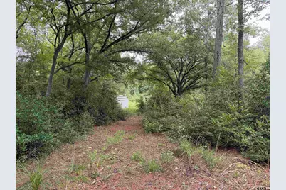 10490 Browning Street, Brownsboro, TX 75756 - Photo 3