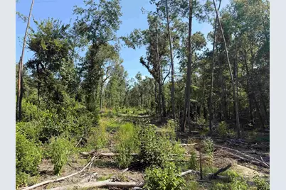 000 Cr 4218 15 Acre, Jacksonville, TX 75766 - Photo 5