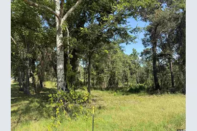000 Cr 4218 15 Acre, Jacksonville, TX 75766 - Photo 1