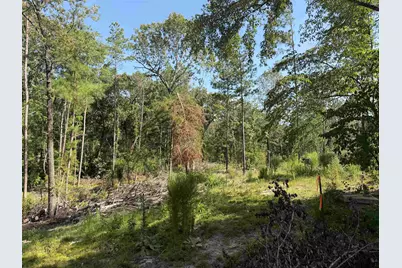 000 Cr 4218 15 Acre, Jacksonville, TX 75766 - Photo 3