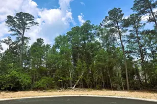 2449 HIdden Crk Cv, Tyler, TX 75703 - Photo 1