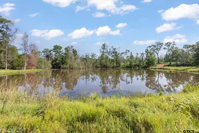 5681 An County Road 531, Palestine, TX 75801 - Photo 3