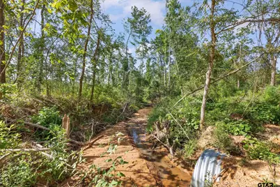 5681 An County Road 531, Palestine, TX 75801 - Photo 7