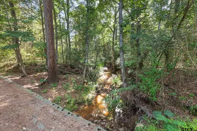 5681 An County Road 531, Palestine, TX 75801 - Photo 5