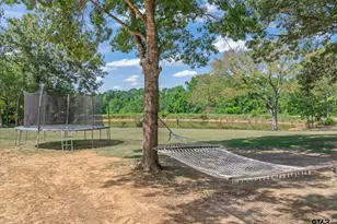 490 Vz County Road 1711, Grand Saline, TX 75140 - Photo 33