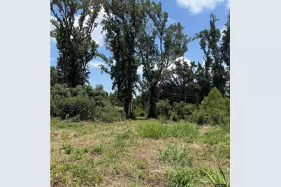 Tbd Cr 3260, Winnsboro, TX 75494 - Photo 5
