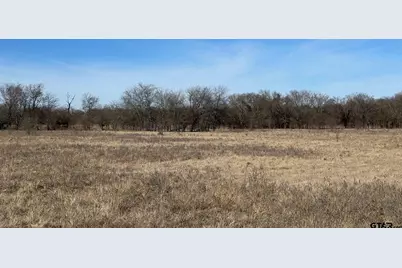 11.66 Ac W Fm 71 W, Sulphur Springs, TX 75482 - Photo 7