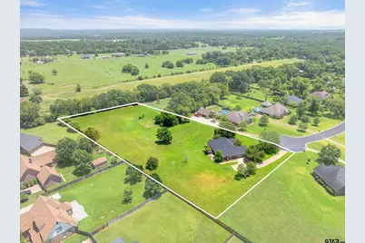 301 Hines Crossing, Bullard, TX 75757 - Photo 43