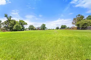 301 Hines Crossing, Bullard, TX 75757 - Photo 37