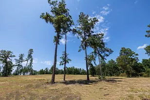 15482 Aniston Ln Lot 28, Flint, TX 75762 - Photo 1