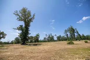 15588 Aniston Ln Lot 26, Flint, TX 75762 - Photo 1