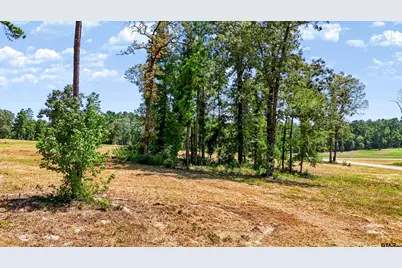 15702 Aniston Ln - (Lot 24), Flint, TX 75762 - Photo 29
