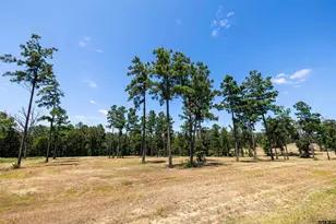 15756 Aniston Ln Lot 23, Flint, TX 75762 - Photo 1