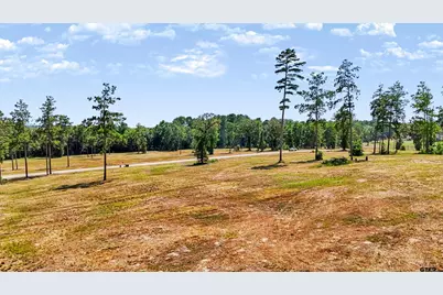 15756 Aniston Ln - (Lot 23), Flint, TX 75762 - Photo 3