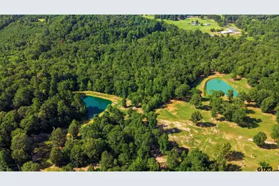 12842 Fm 838, Overton, TX 75684 - Photo 45