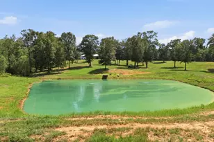 12842 FM 838, Overton, TX 75684 - Photo 37