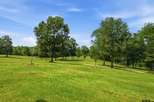 12842 FM 838, Overton, TX 75684 - Photo 39