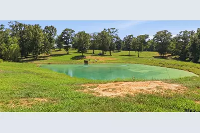 12842 Fm 838, Overton, TX 75684 - Photo 41
