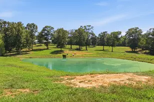 12842 FM 838, Overton, TX 75684 - Photo 41