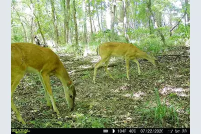 000 County Road 4903, Jacksonville, TX 75766 - Photo 13