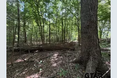 000 County Road 4903, Jacksonville, TX 75766 - Photo 25