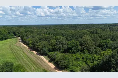 000 County Road 4903, Jacksonville, TX 75766 - Photo 5