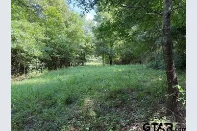 000 County Road 4903, Jacksonville, TX 75766 - Photo 21