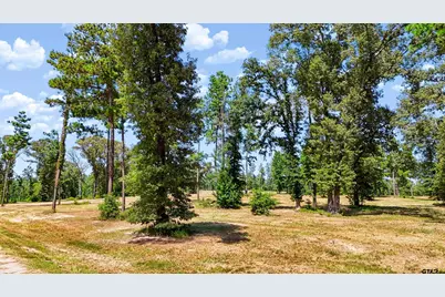 15483 Aniston Ln - (Lot 1), Flint, TX 75762 - Photo 35